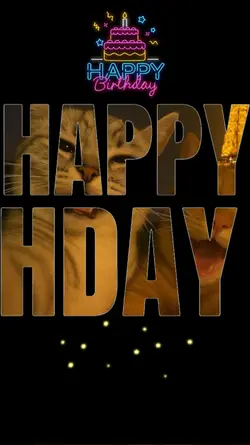 Birthday moments