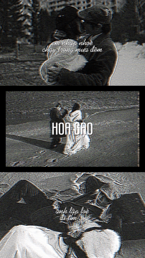 Hoa Gạo - Lirik