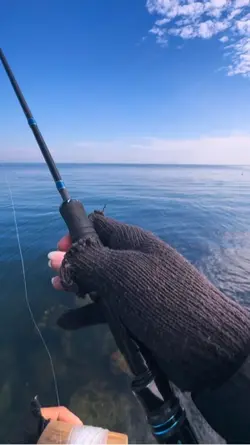 Mancing