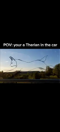 POV: your a TherianπΎ