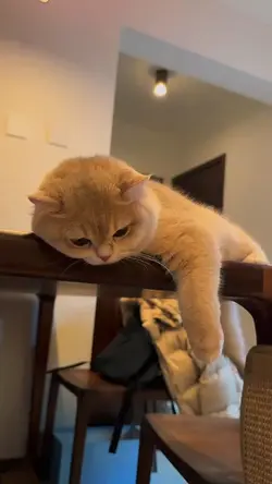 Ujian Laki Laki
