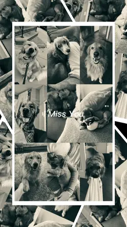 I Miss You..