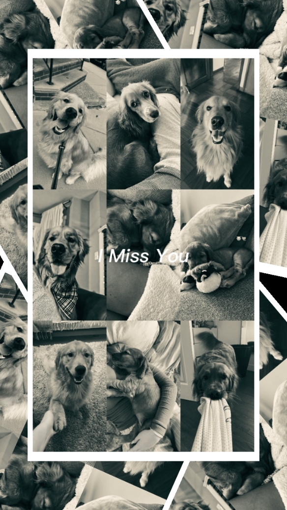 I Miss You..
