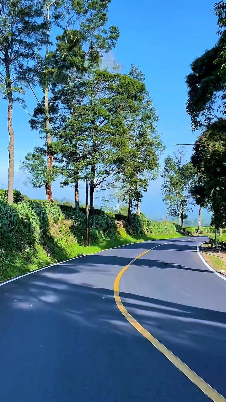 10 clips road trip