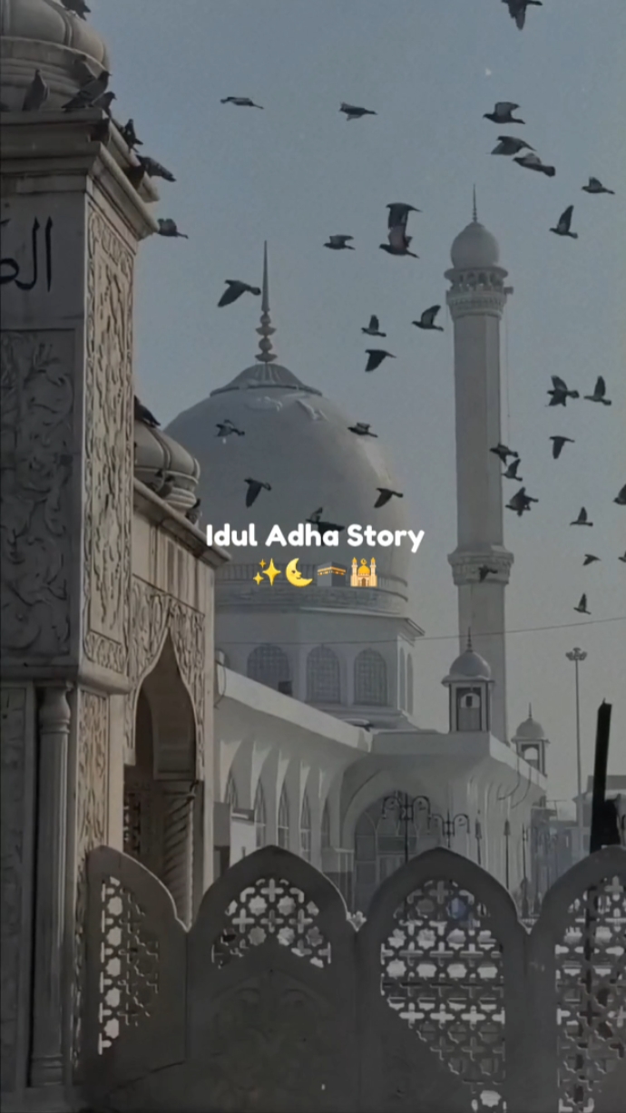 Idul Adha Story