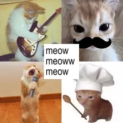 meow meow meow