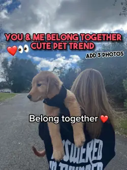 You & Me❤️🦮