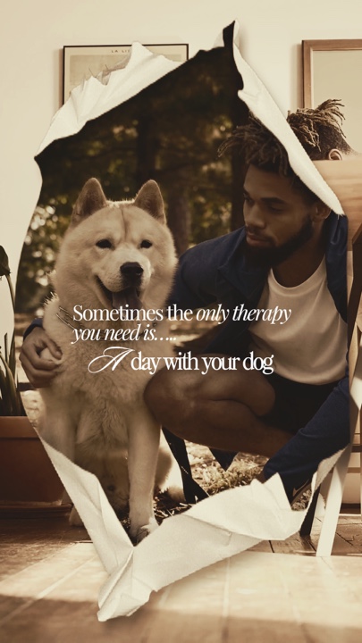 My Lovely Dog