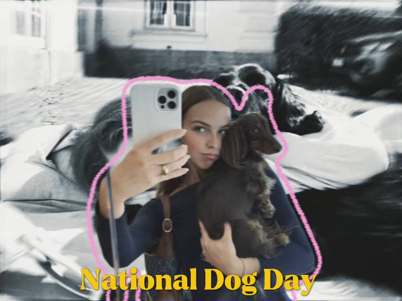 Día Nacional del Perro