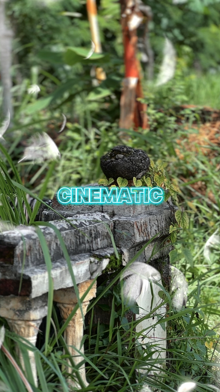 Cinematic 
