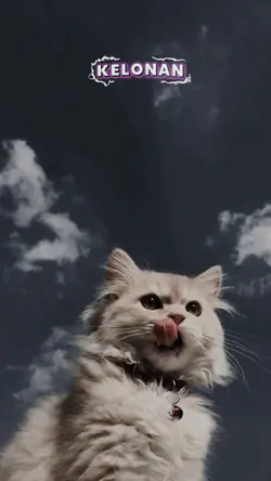 Pihak Ketiga