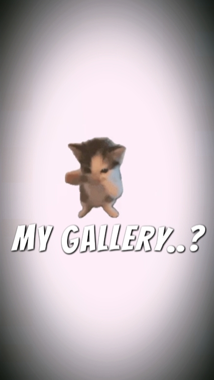 ma galerie 