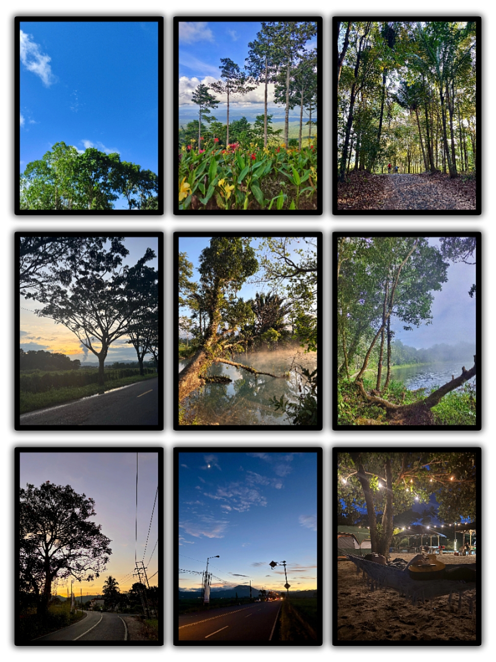 9Pic Frame Estética