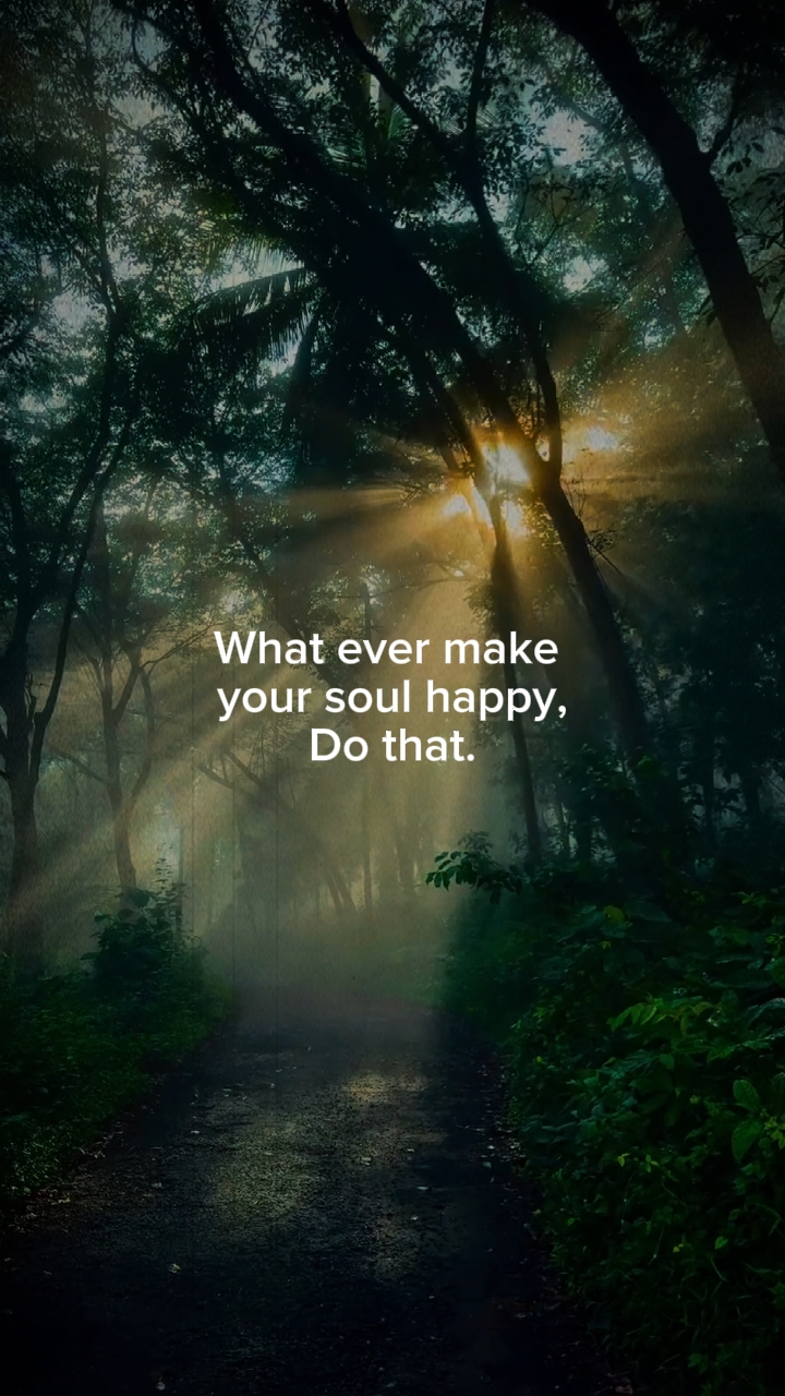 motivation 