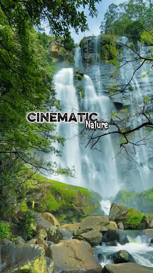 Cinématique 5 Clips 