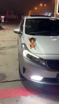 On Numara Dansı Kedi