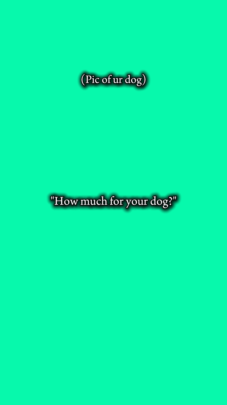 Cachorro