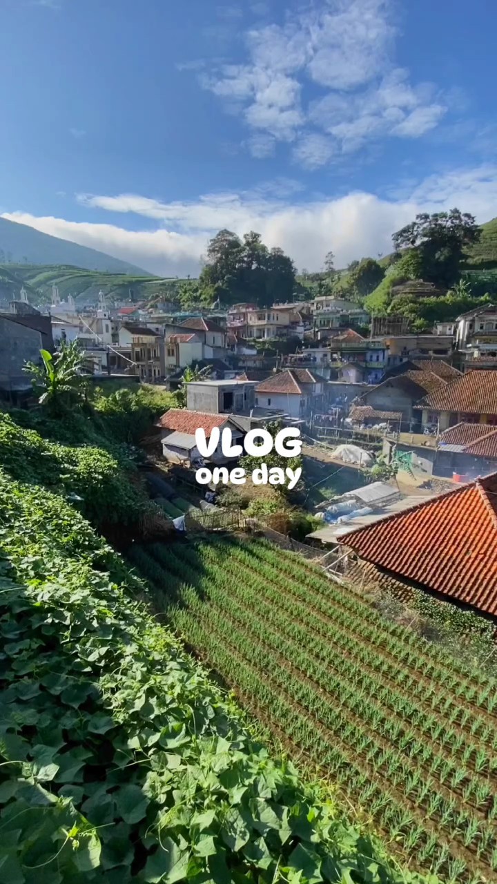 vlog