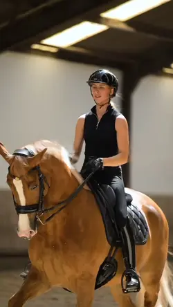 Equestrian