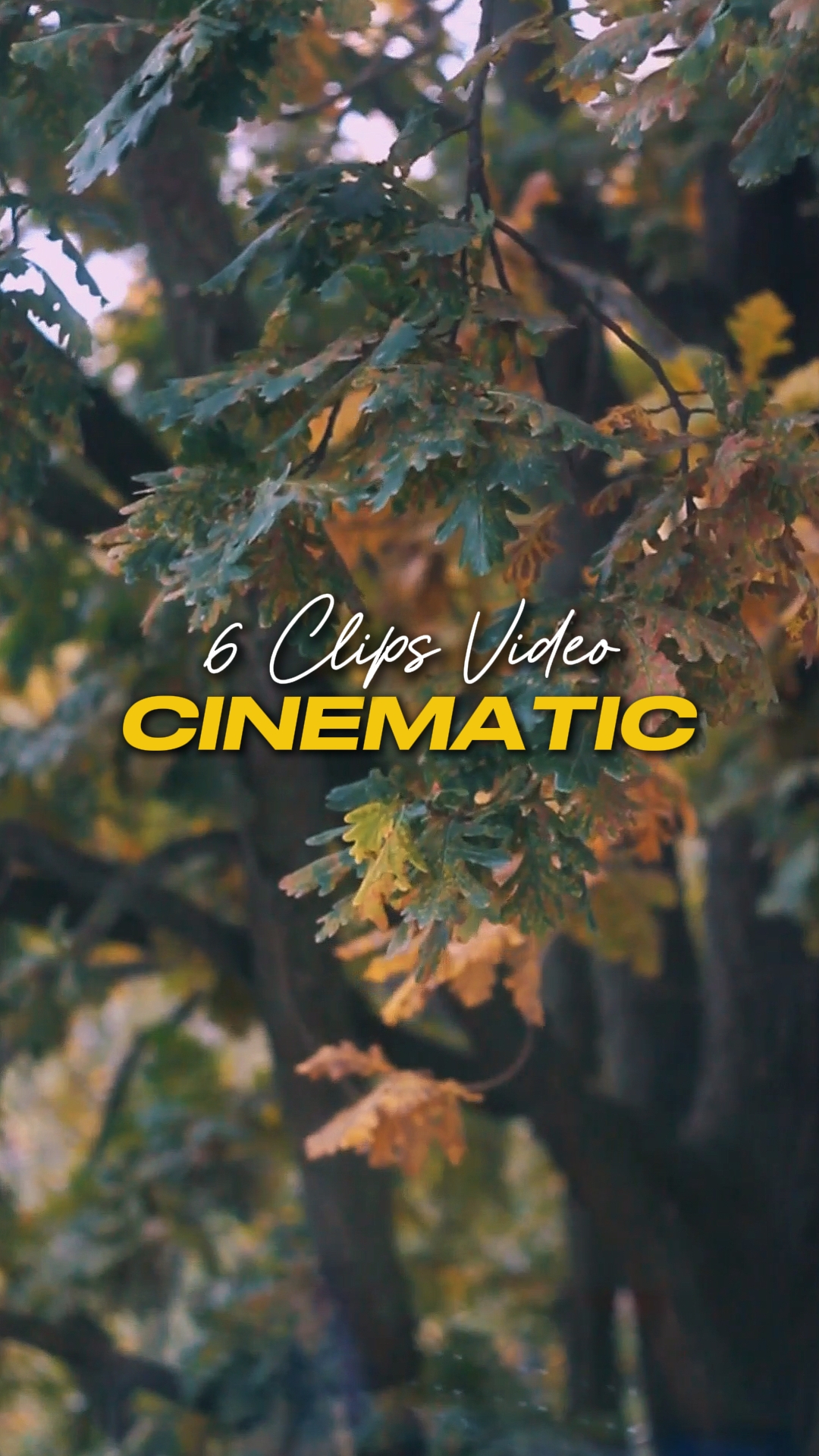 Cinematic 6 Videos