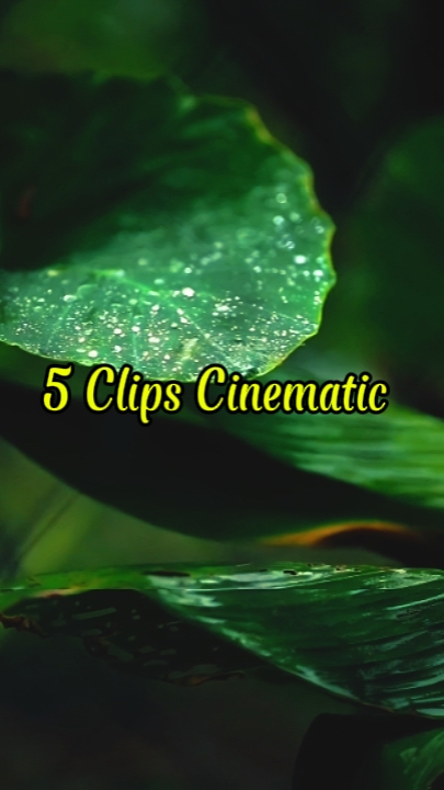 Cinemática simple 