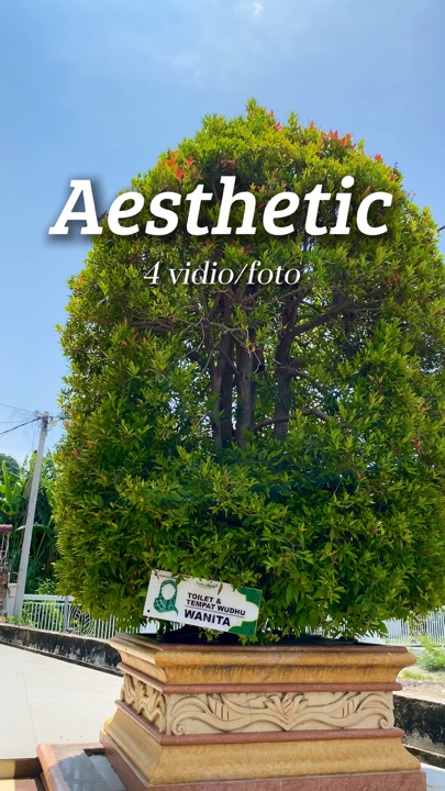 4 video aesthetic