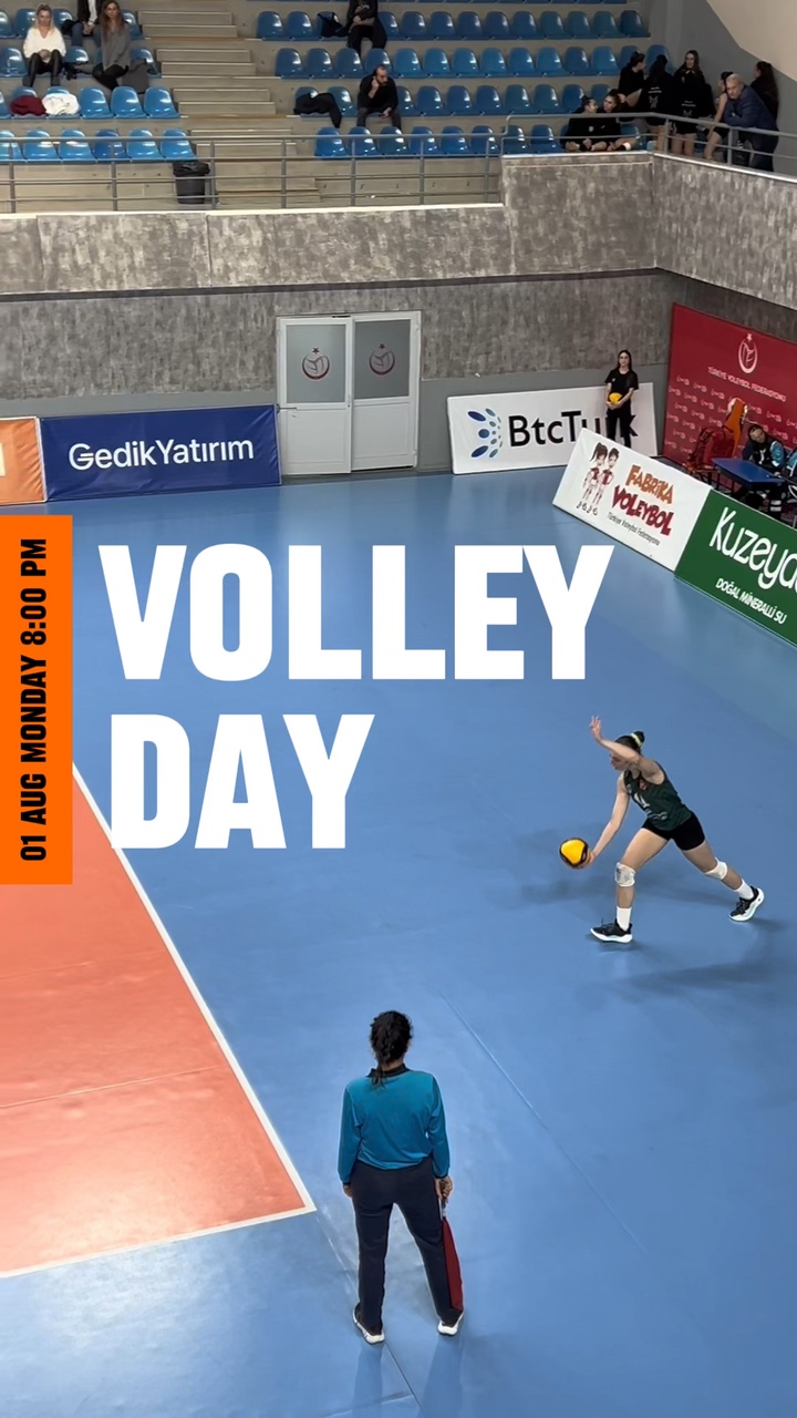 Resumen de voleibol