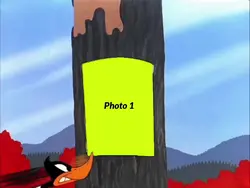 Trend Edit New