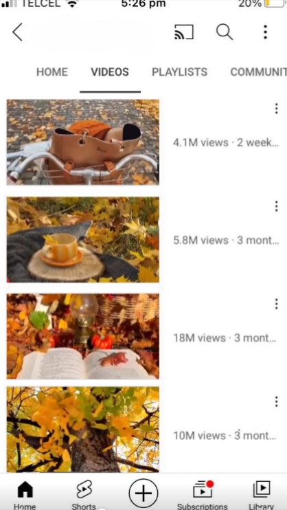 Autumn Mini Dump