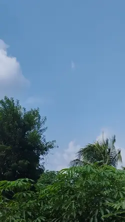 1video 38detik
