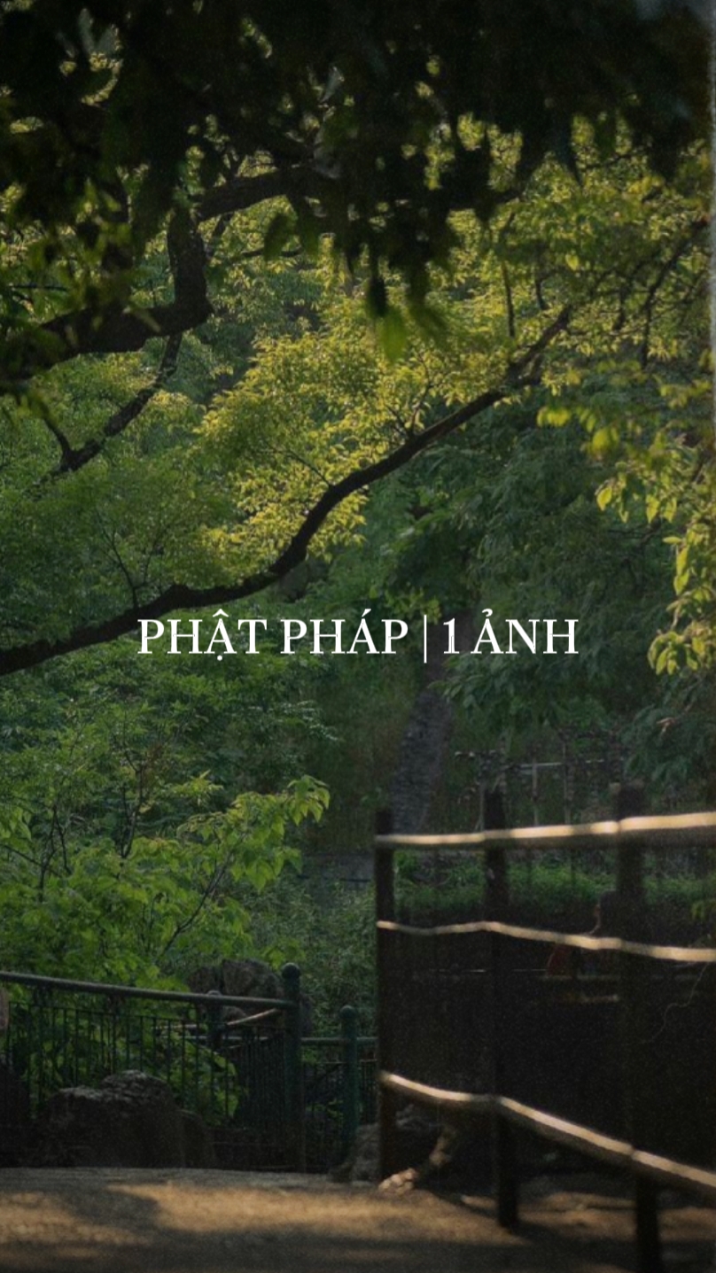 Phït Pháp 🪷
