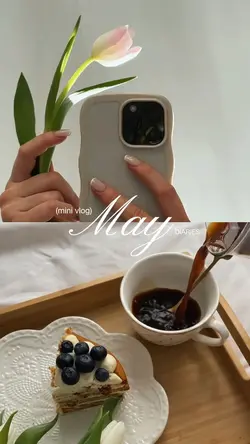Mini vlog