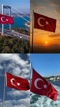bayrak