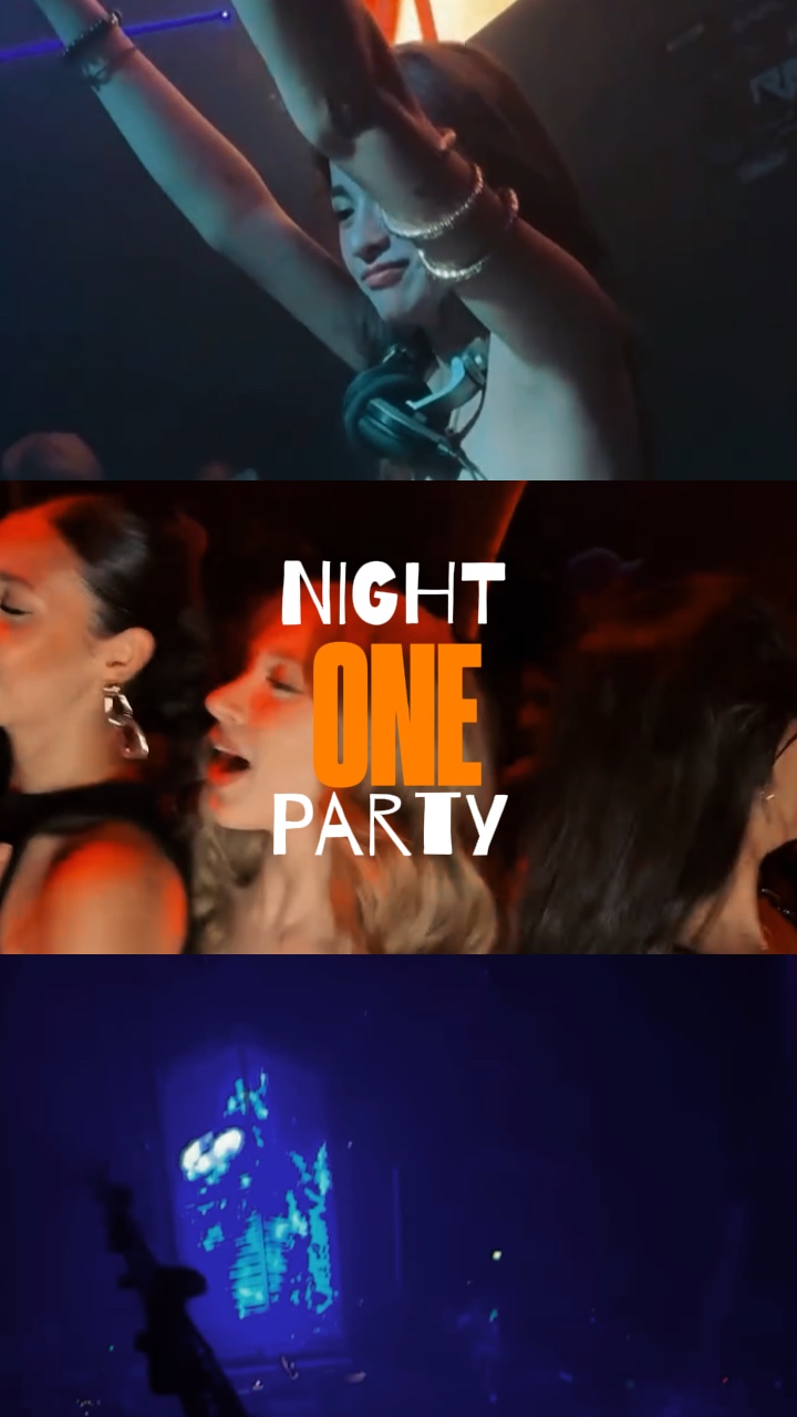 Fiesta de una noche 