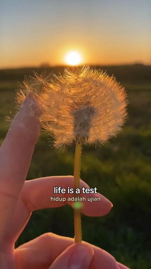 A vida é um teste 