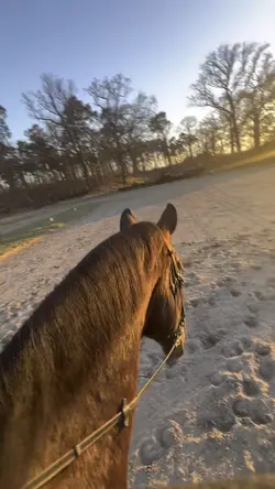 sunset slowmo !! 😻☀️