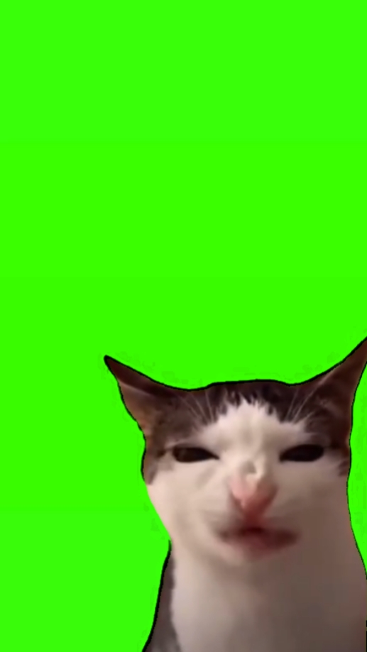 kedi ısırığı meme
