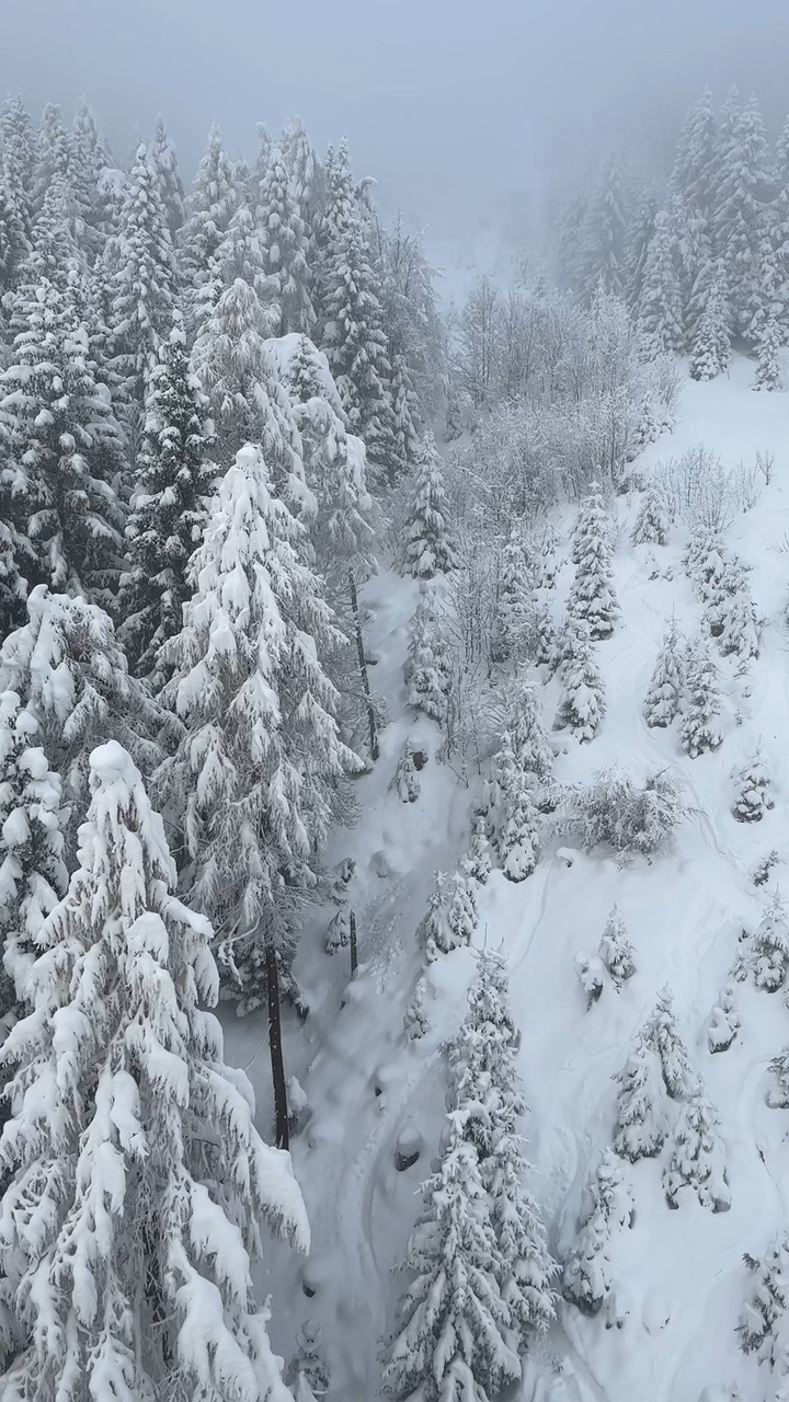 Quiet Winter moments