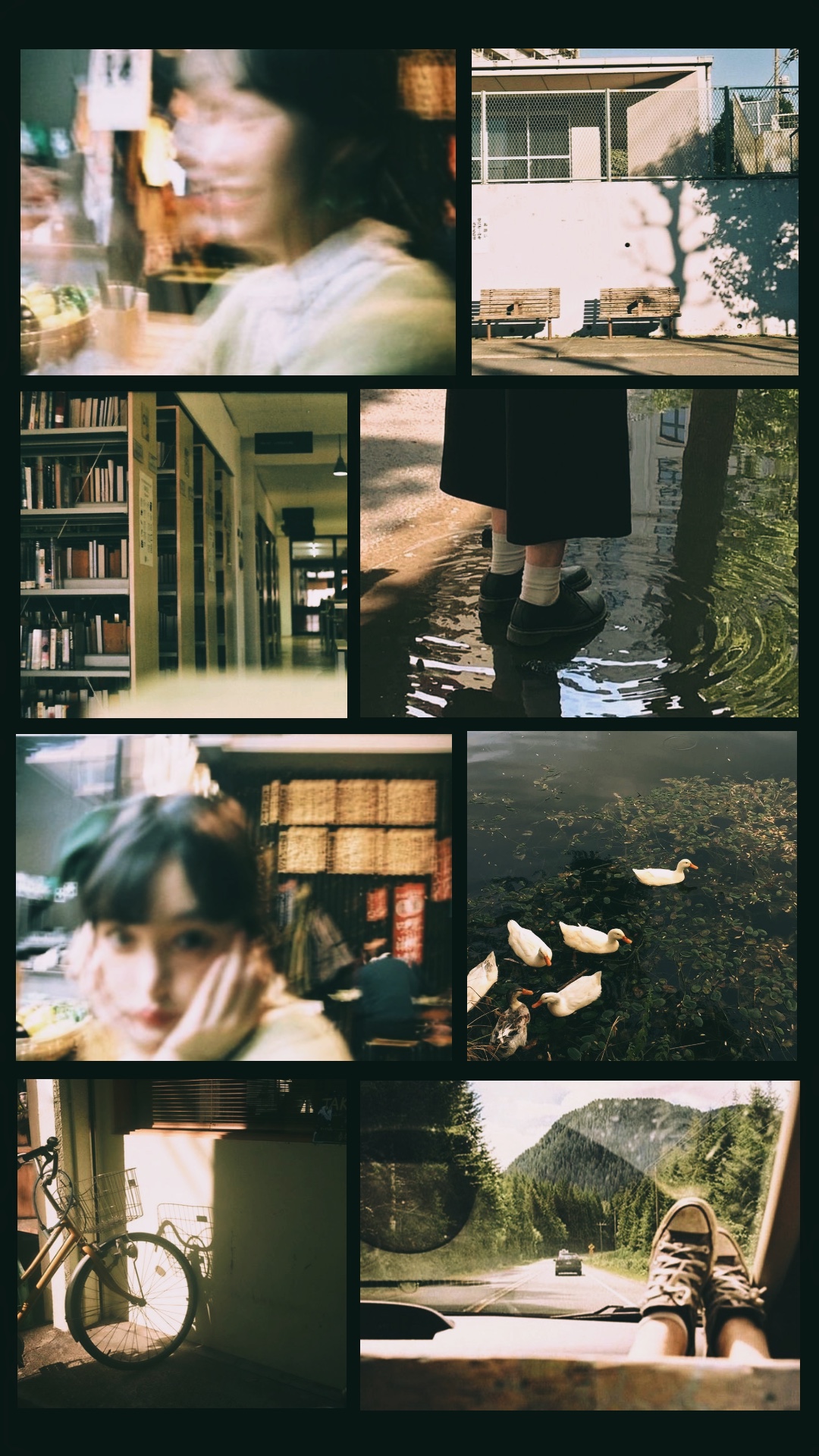 8 photo 