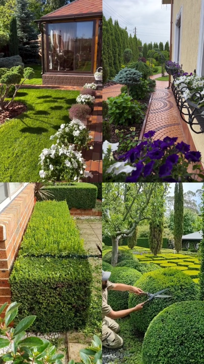 Berkebun