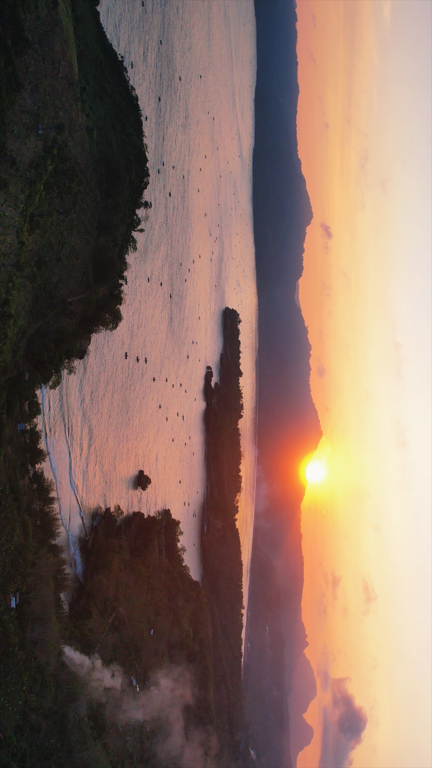 Estética da paisagem