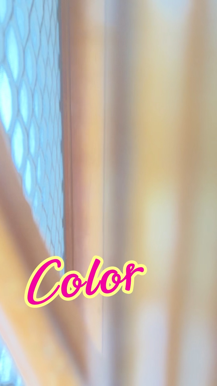 Fiesta de colores