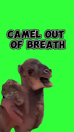 Out Of Breath