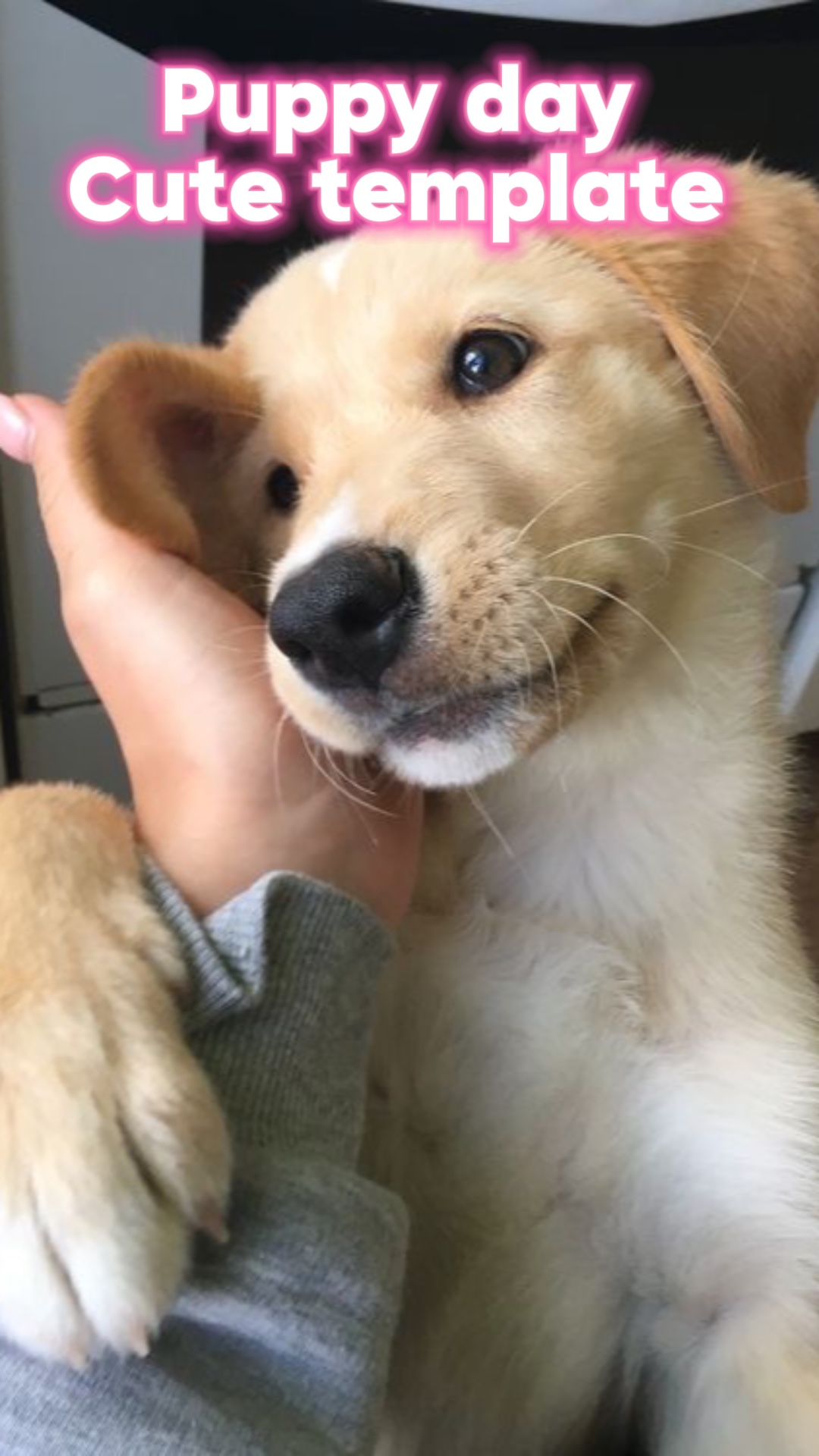 Puppy day 🐾