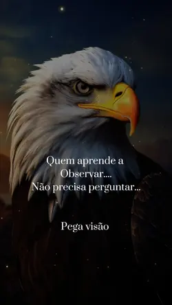 frases 