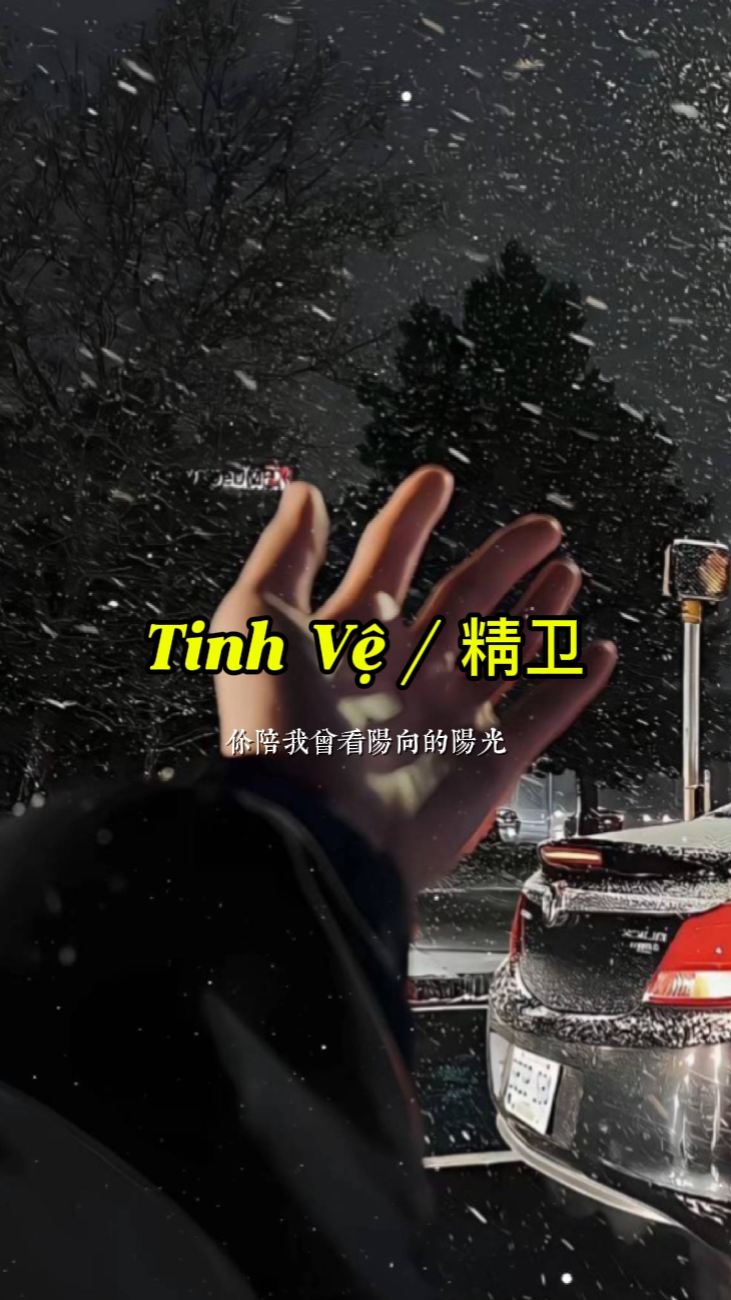 틴 V /