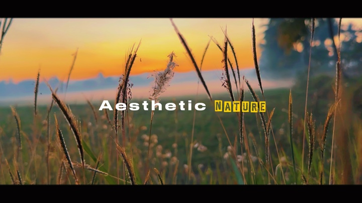 CINEMATIC NATURE HD