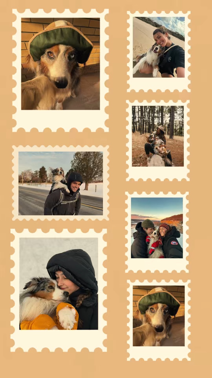 I love my dog