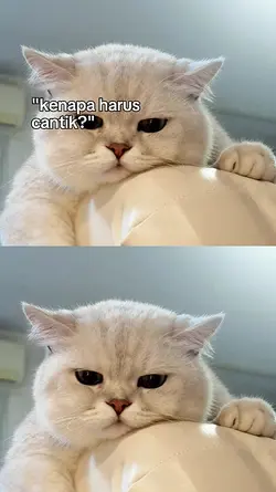 kenapa harus cantik