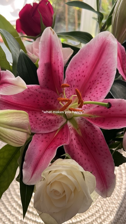 Favourite Flowers 